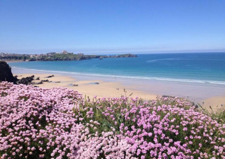 Atlantic Reach Cottages, Newquay 6 Miles, 2 Bedrooms Exterior photo